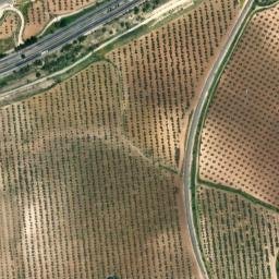 Satellite imagery of survey_point, DZ