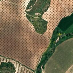 Satellite imagery of survey_point, DZ