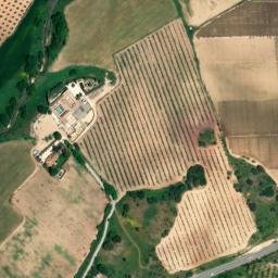Satellite imagery of survey_point, DZ