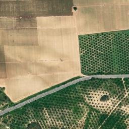 Satellite imagery of survey_point, DZ