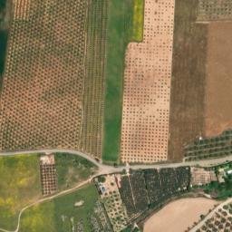 Satellite imagery of survey_point, DZ