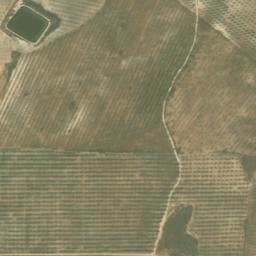 Satellite imagery of survey_point, DZ