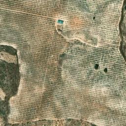 Satellite imagery of survey_point, DZ