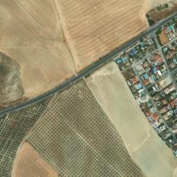 Satellite imagery of survey_point, DZ