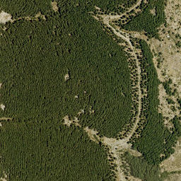 Satellite imagery of survey_point, DZ