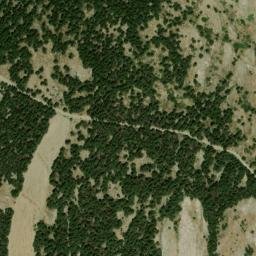 Satellite imagery of survey_point, DZ