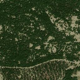 Satellite imagery of survey_point, DZ