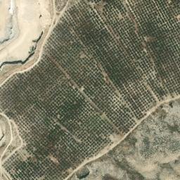Satellite imagery of survey_point, DZ