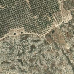 Satellite imagery of survey_point, DZ