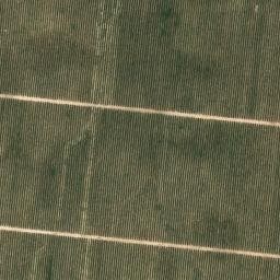 Satellite imagery of survey_point, DZ