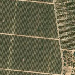 Satellite imagery of survey_point, DZ