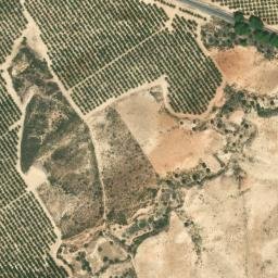 Satellite imagery of survey_point, DZ