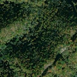 Satellite imagery of Silcox Ridge, US