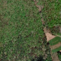 Satellite imagery of Long Spur, US