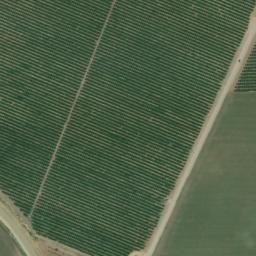 Satellite imagery of survey_point, DZ