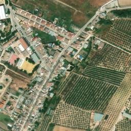 Satellite imagery of survey_point, DZ