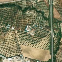 Satellite imagery of survey_point, DZ