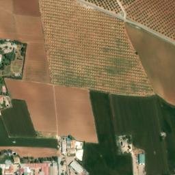 Satellite imagery of survey_point, DZ