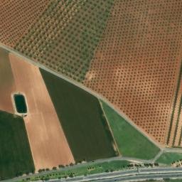 Satellite imagery of survey_point, DZ