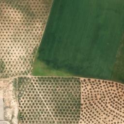 Satellite imagery of survey_point, DZ
