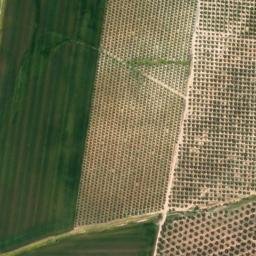 Satellite imagery of survey_point, DZ