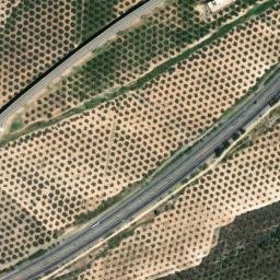 Satellite imagery of survey_point, DZ