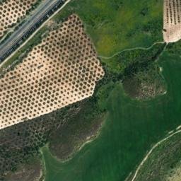 Satellite imagery of survey_point, DZ
