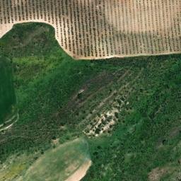 Satellite imagery of survey_point, DZ