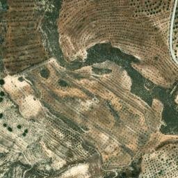 Satellite imagery of survey_point, DZ