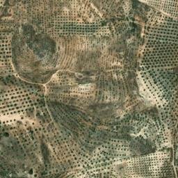 Satellite imagery of survey_point, DZ