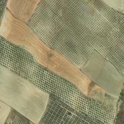 Satellite imagery of survey_point, DZ