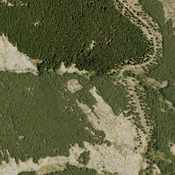 Satellite imagery of survey_point, DZ