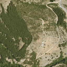 Satellite imagery of survey_point, DZ