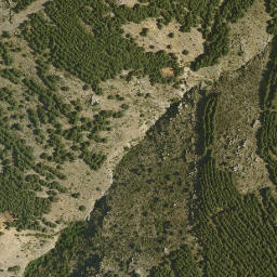 Satellite imagery of survey_point, DZ