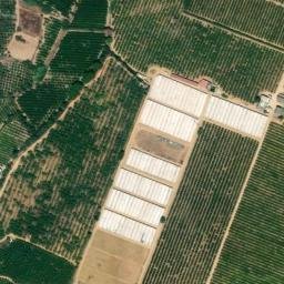 Satellite imagery of Tripado, DZ