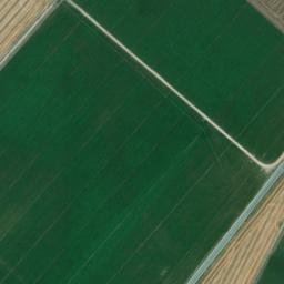 Satellite imagery of survey_point, DZ