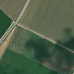 Satellite imagery of survey_point, DZ