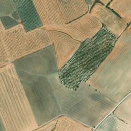 Satellite imagery of survey_point, DZ
