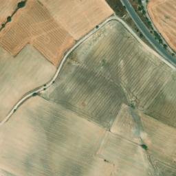 Satellite imagery of survey_point, DZ