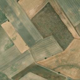 Satellite imagery of survey_point, DZ