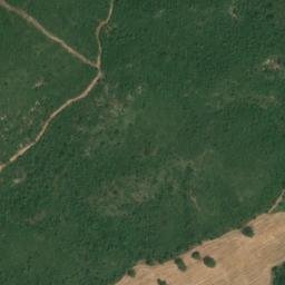 Satellite imagery of survey_point, DZ