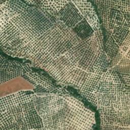 Satellite imagery of survey_point, DZ