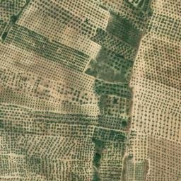 Satellite imagery of survey_point, DZ