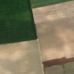 Satellite imagery of survey_point, DZ