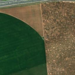 Satellite imagery of survey_point, DZ