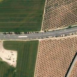 Satellite imagery of survey_point, DZ