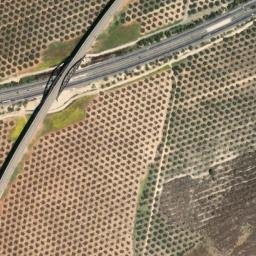 Satellite imagery of survey_point, DZ