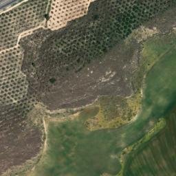 Satellite imagery of survey_point, DZ