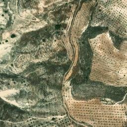 Satellite imagery of survey_point, DZ