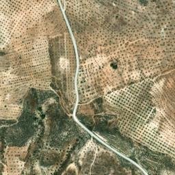 Satellite imagery of survey_point, DZ